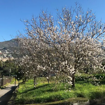 מלון Casa Del Custode