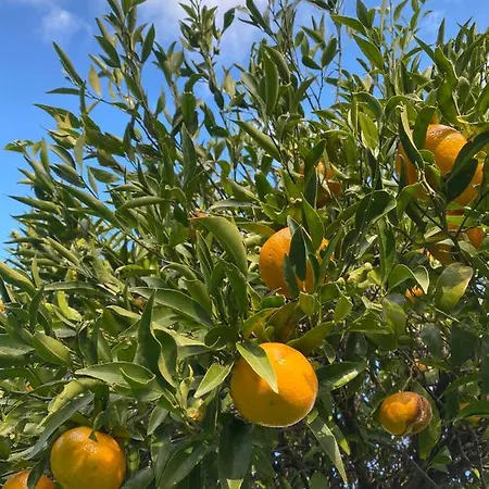 Casa Del Custode ויקו אקוונסה