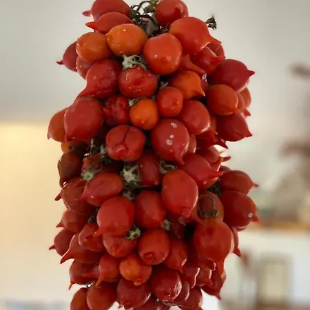 מלון Casa Del Custode