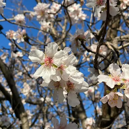 מלון Casa Del Custode ויקו אקוונסה