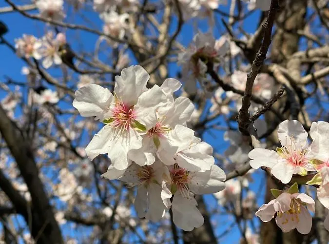 Hotell Casa Del Custode Vico Equense
